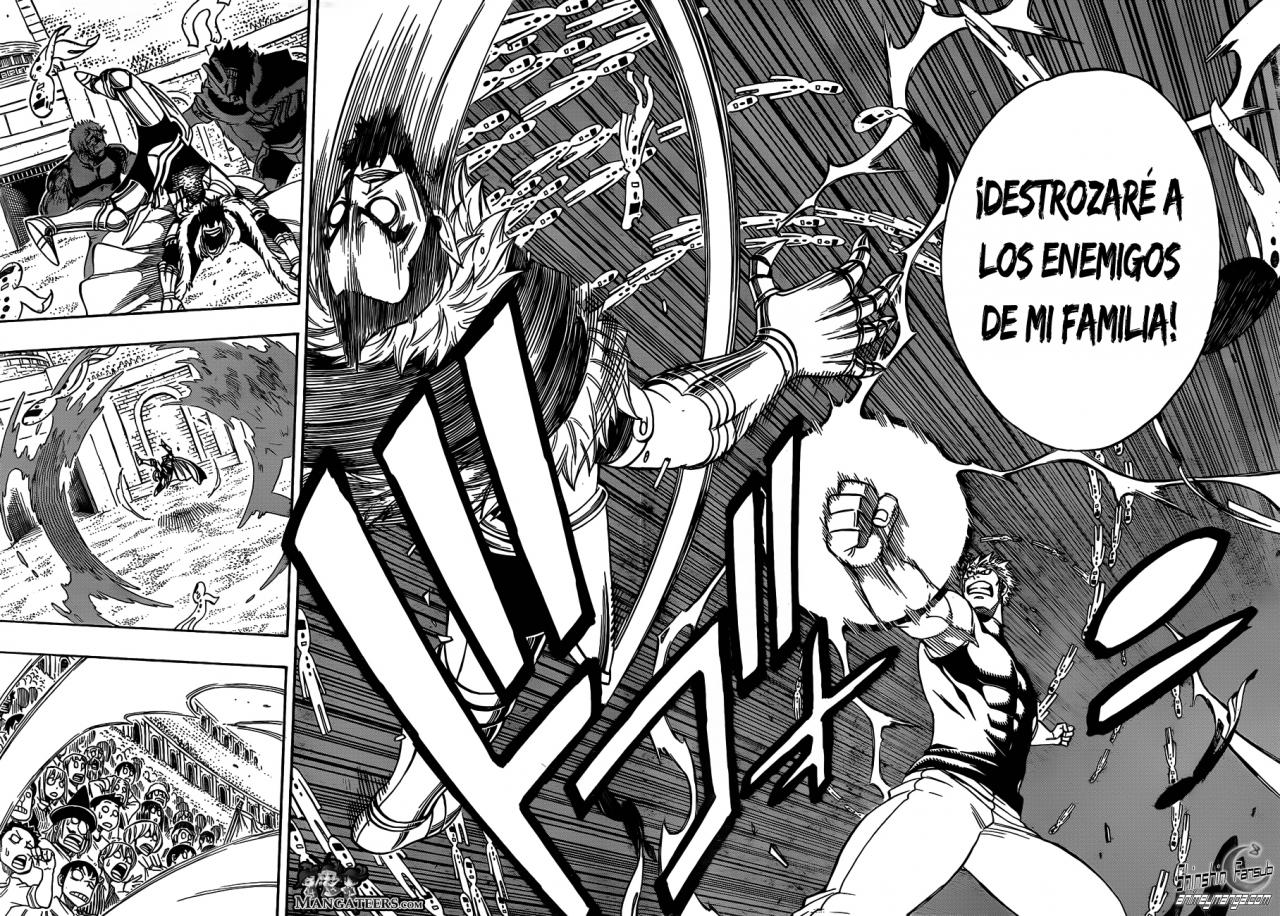 Fairy Tail Capitulo 287 Fairytail9