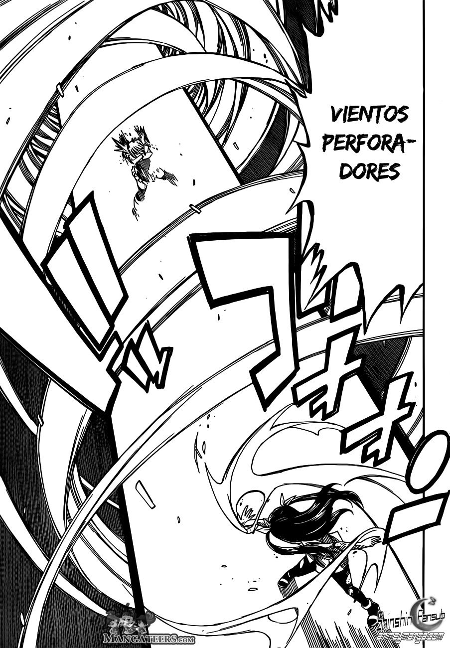 Fairy Tail Capitulo 288 14