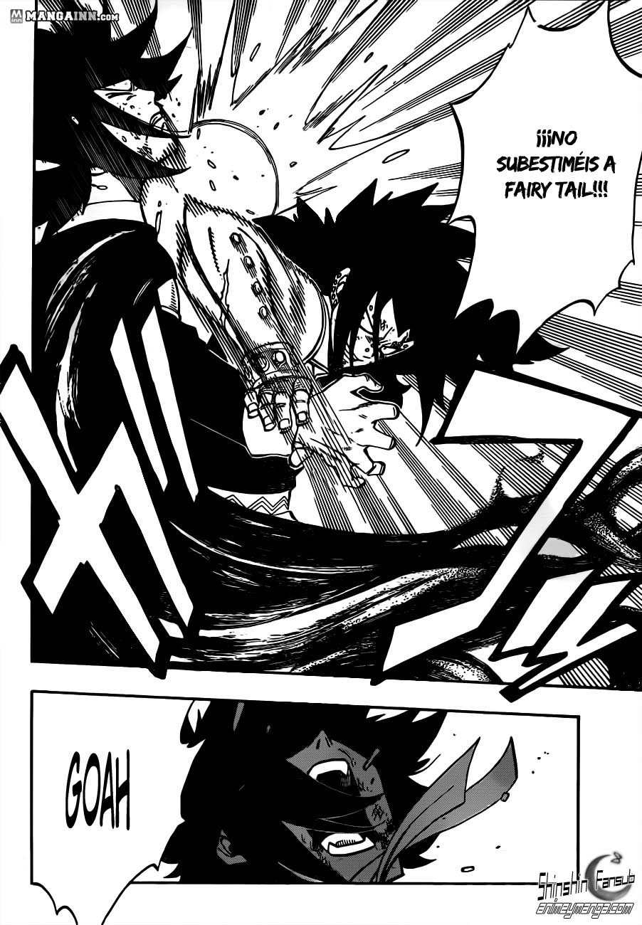 Fairy Tail Capitulo 294 25