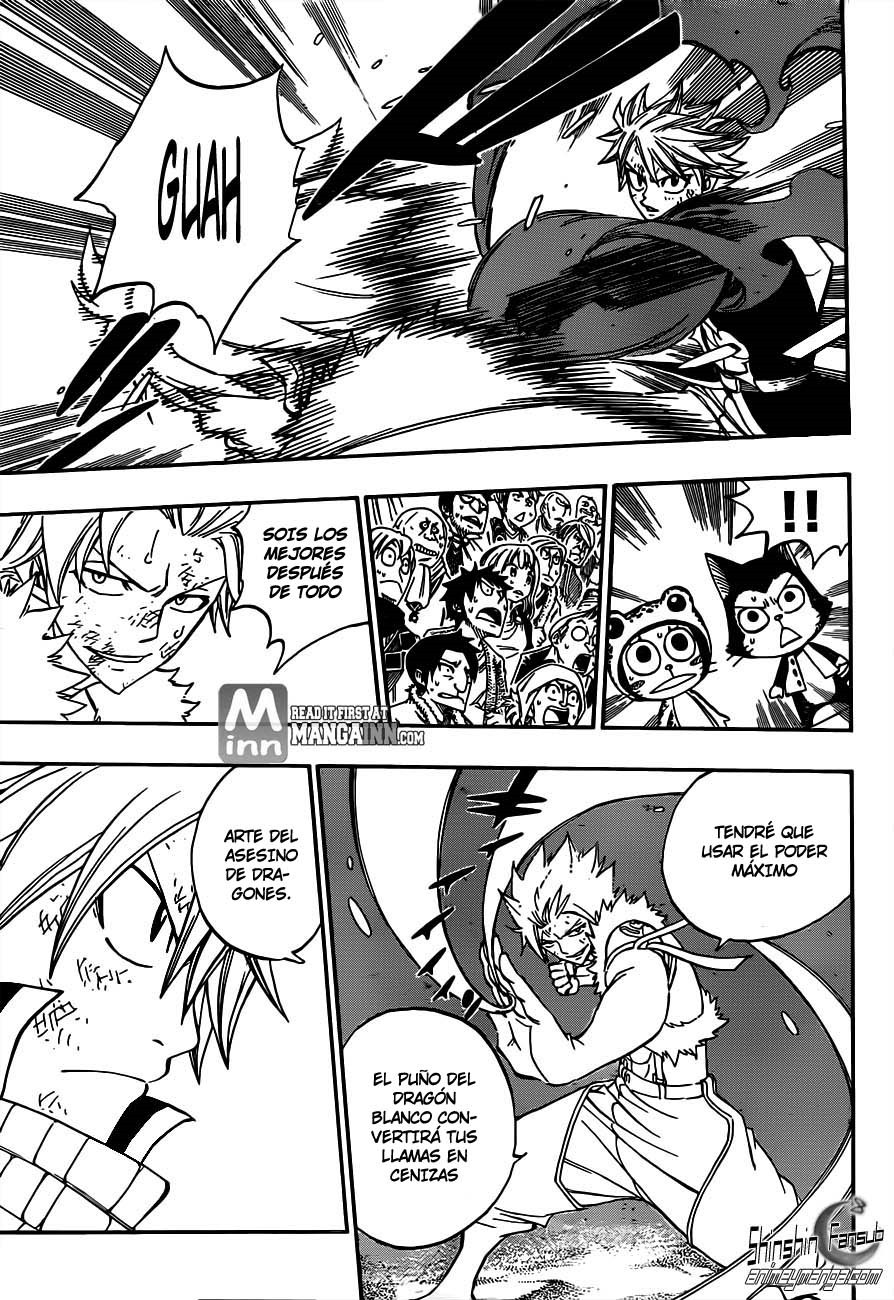 Fairy Tail Capitulo 294 26
