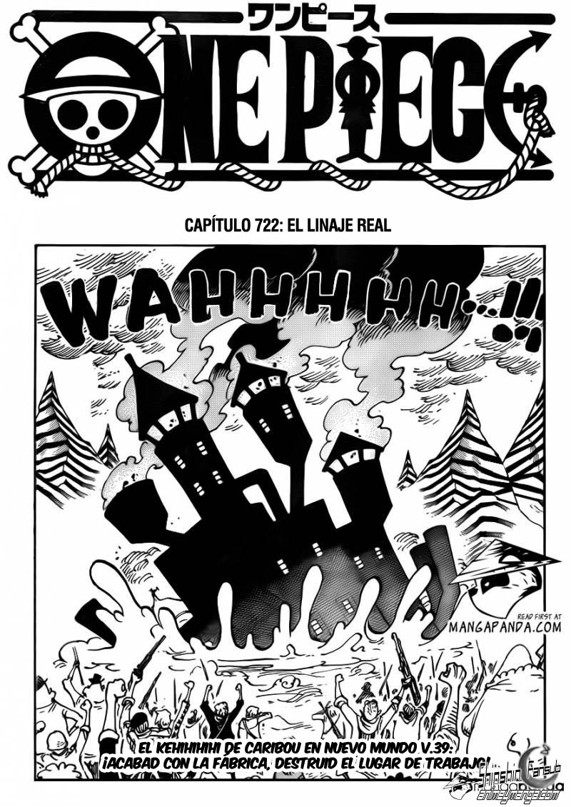 One Piece 722: El linaje real 02