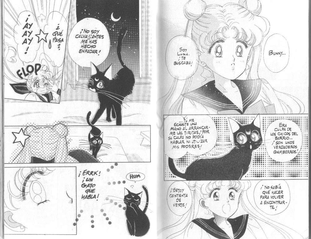 Sailor Moon Manga Tomo I - Página 2 Sailormoon11