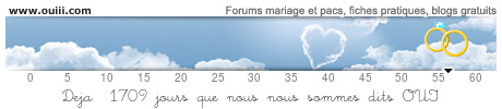 Mariage Noixdine et iXce - 29 Août 2015 B9624391avv