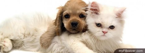 صور خلفيات فيسبوك حيوانات أليفه 2013,  Puppy_and_Kitten