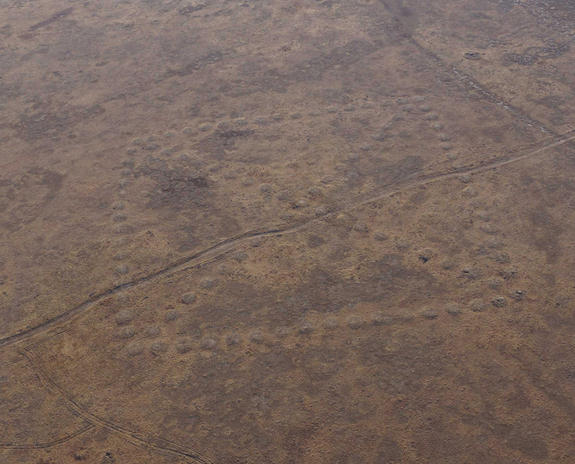 Kazajistán: Hallan dibujos de 2 mil a 10 mil años de antigüedad Kazakhstan-geoglyphs-2