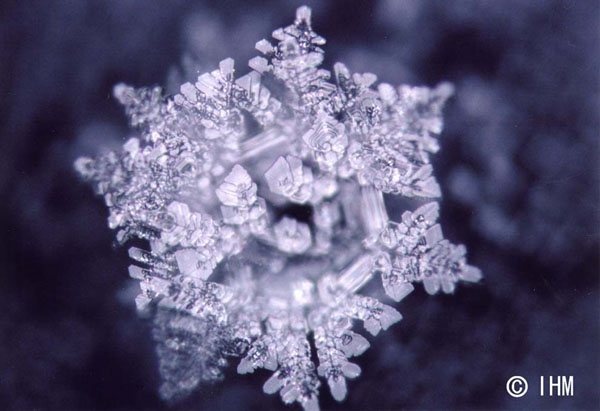 Водата има памет, послания на водата WaterCrystal6