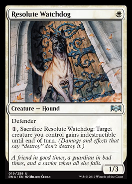 Spoilers de Ravnica Allegiance - Página 5 Resolutewatchdog