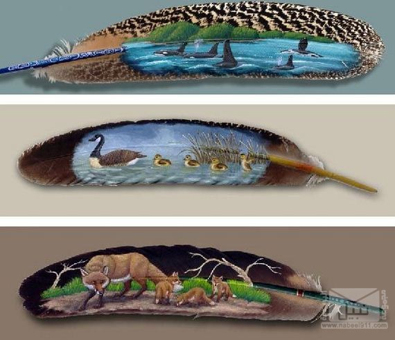 الرسم على الريش - فن لا يصدق ][ ...بالصـ‘ــور  0944