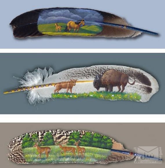 الرسم على الريش - فن لا يصدق ][ ...بالصـ‘ــور  1045