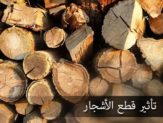 علوم البيئة في ضوء الاسلام  02