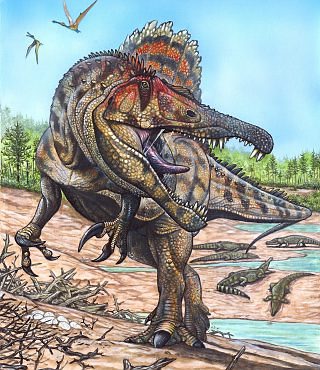 "Oxalaia quilombensis", el mayor dinosaurio carnívoro en Brasil Oxalaia-quilombensis