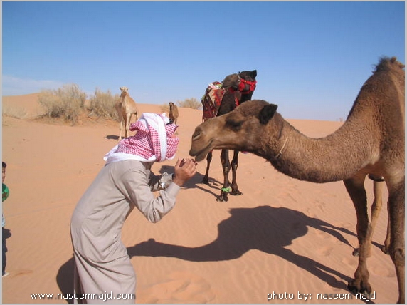 هذا هو زعيم الحركات التحررية , للسياحة المنزلية , و السياحة السطوحية هذا أبو سلطان قمر الزمان , و بمقام Image00023