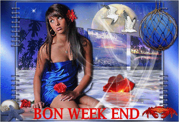 Bonjour bonsoir a tous les membres - Page 4 29ca94fb