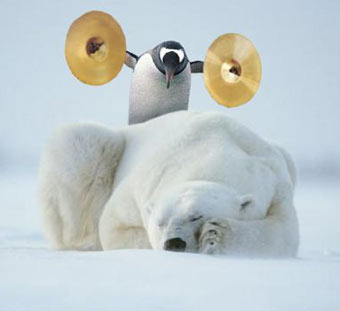 jeux d'image Brave-pingouin