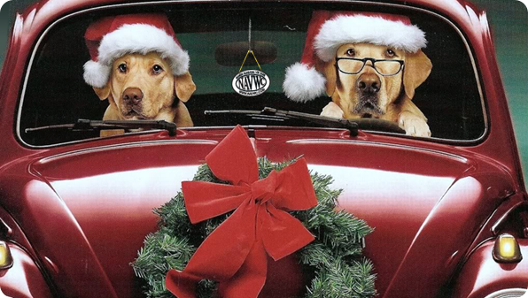 Joyeux Noel VW-Christmas-Dogs