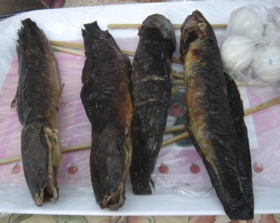 Epinards au poisson fume Khmer06poissonschats