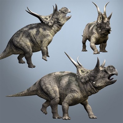 Diabloceratops eatoni 91dd59e879_65131997_o2