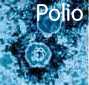 Big Pharma and the Medical Health Industry - Page 4 Polio10