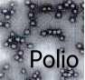 Big Pharma and the Medical Health Industry - Page 4 Polio11