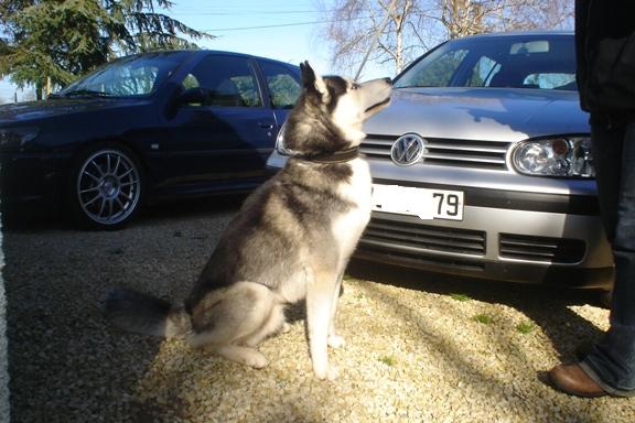 Golf IV TDI Match DSC07071