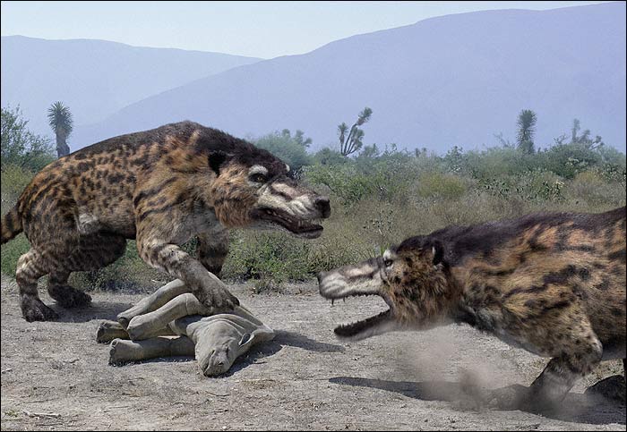 Andrewsarchus 1