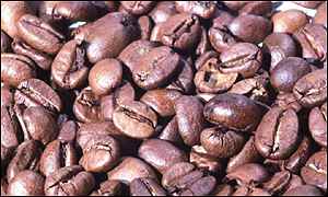 القهوة قد تعالج أمراض الحساسية _781053_coffee_beans300