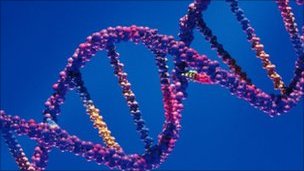 Will we all be tweaking our own genetic code? _53430497_modeldnadoublehelix