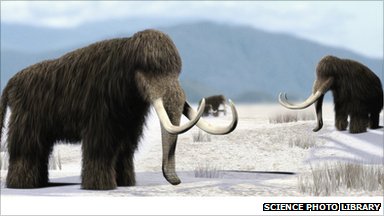 Russian scientists to attempt clone of woolly mammoth _57176154_009997464-1