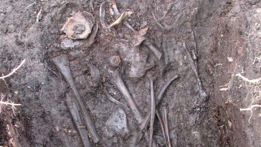 600-year-old skeleton mystery at Fermanagh crannog site _66995482_crannogskeleton