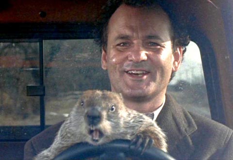 Low Festival 2015 Groundhog-day-bill-murray-day