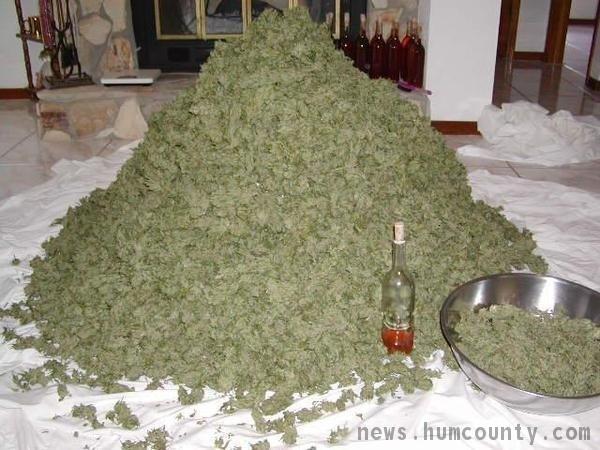 The Birthday Thread - Page 11 Pile_of_marijuana