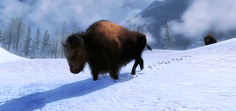 Ya es oficial: Nueva reserva en el Artico!  2015_08_alaska_bison
