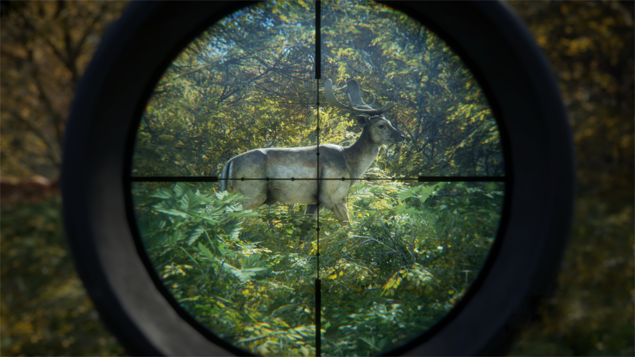 The Hunter : Call of the wild TheHunter_cotw_fallow_deer