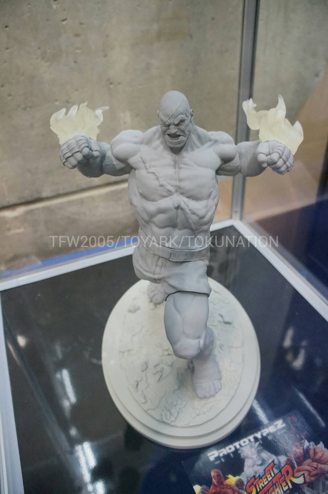 [SDCC 2013] Prototype Z  SDCC-2013-Protoype-Z-018