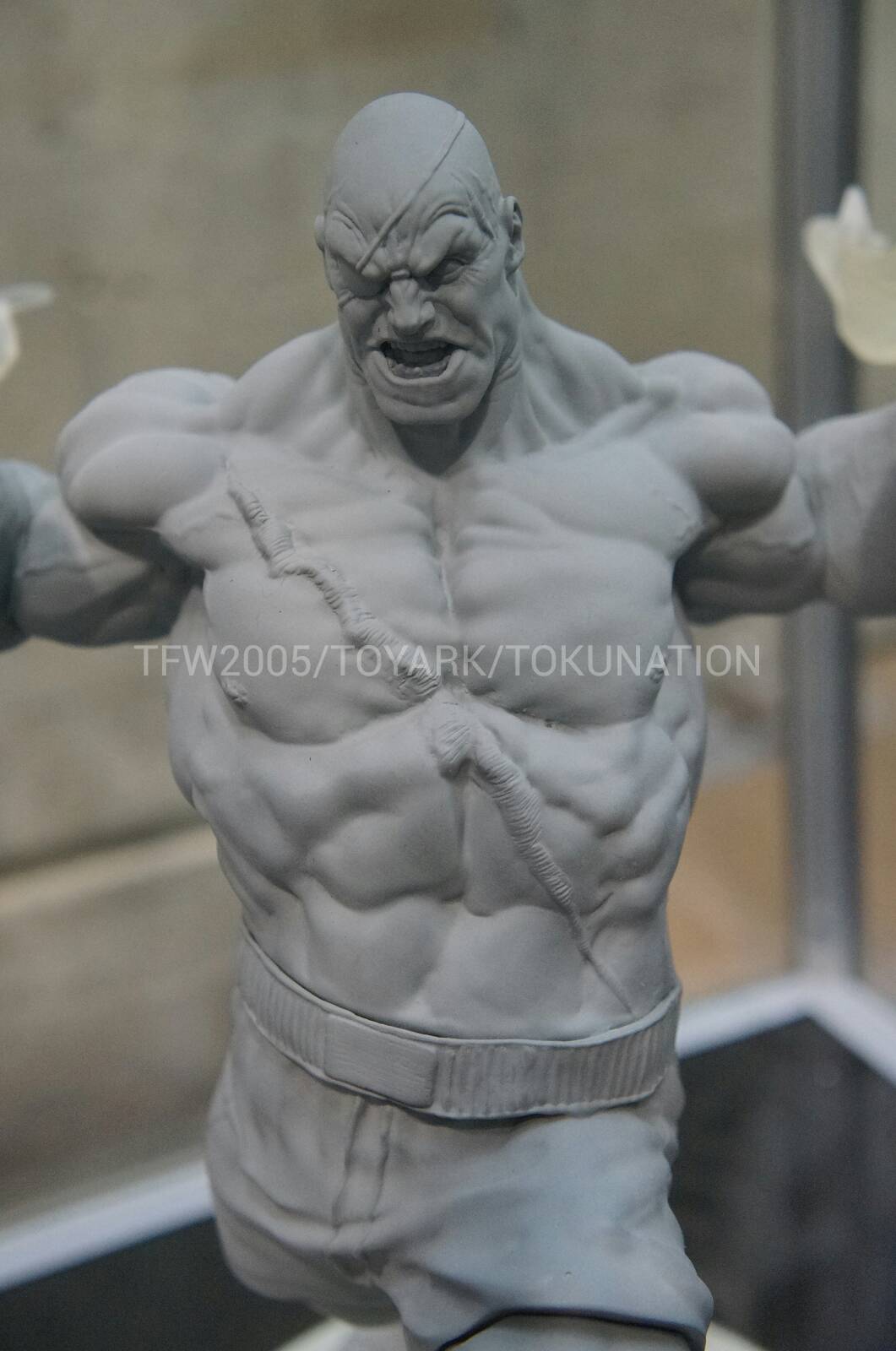 [SDCC 2013] Prototype Z  SDCC-2013-Protoype-Z-019