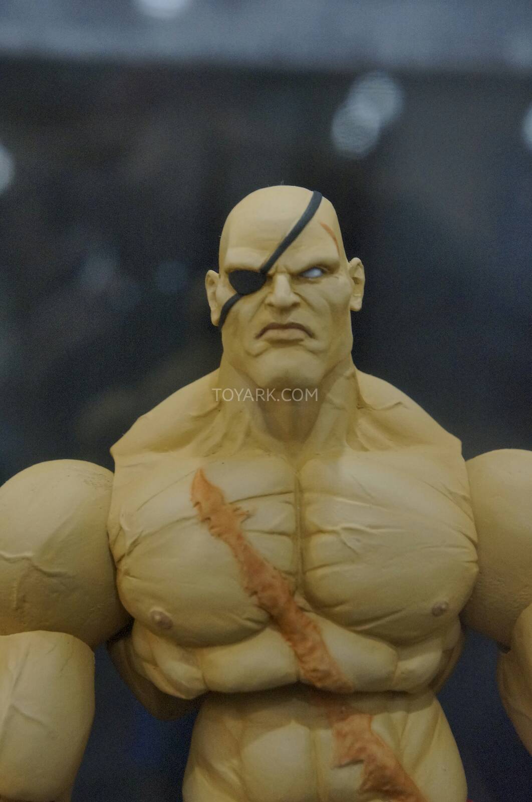 [EVENTO] Toy Fair 2014 - Capo Toys Toy-Fair-2014-Capo-Toys-Street-Fighter-005