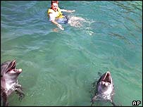 Protestas por las capturas y usos de los delfines _39306251_030721salomon203