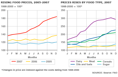 Food crisis : The silent tsunami (Eng/Fra) _44550799_rising_food466x304