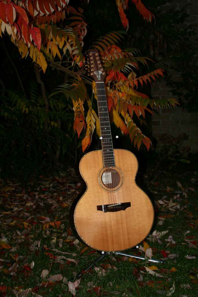 Les guitares de nos luthiers (description des guitares, merci de ne pas commenter dans cette rubrique) Img_2382