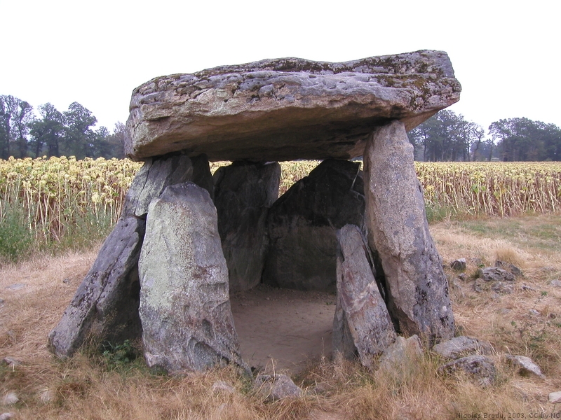 De hermanos, agua, tormentas, miedos. [Conan Baratheon. F/B] Dolmen