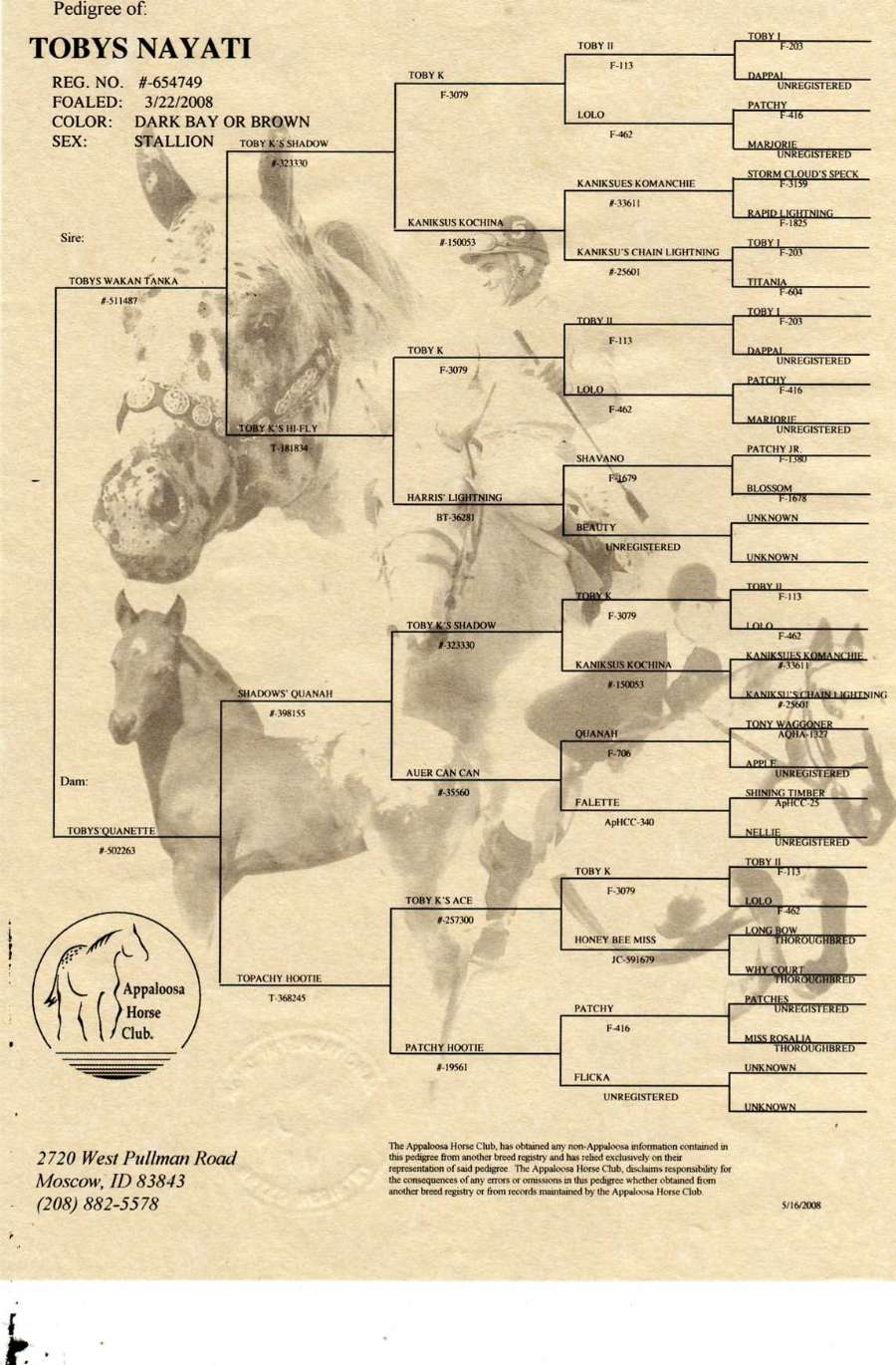 Le vrai cheval fondation Nayati%20papier