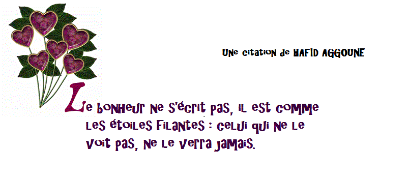 Citations et proverbes 6d61f5d3