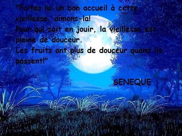 Citations et proverbes 09474913