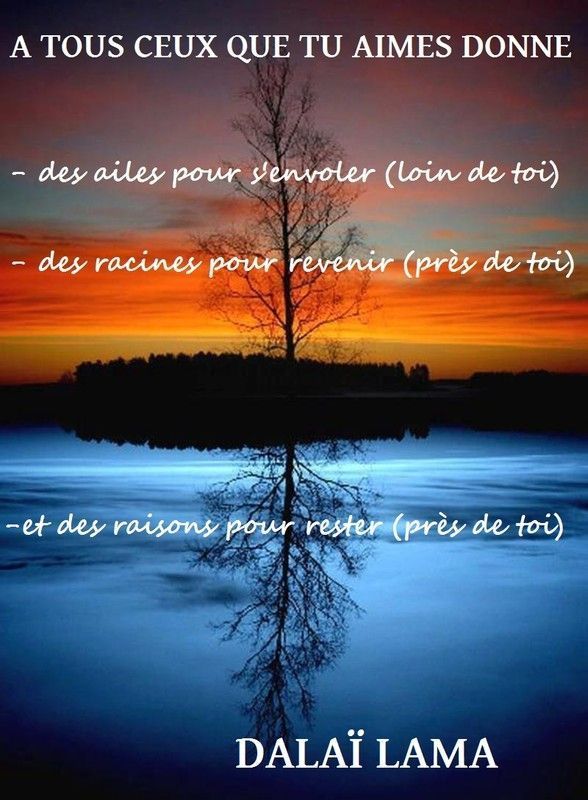 Citations et proverbes 26731908