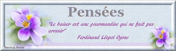 Citations et proverbes 7fd0cd4f