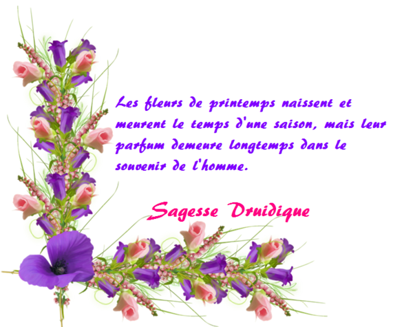 Citations et proverbes 84be6e3e