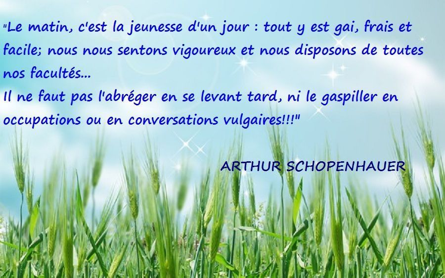 Citations et proverbes F088e5e4