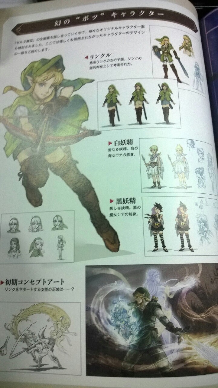 Aonuma fala que o Zelda U poderá ter ideias inspiradas em Hyrule Warriors Tumblr_na6rkoUykW1sx1to1o6_1280