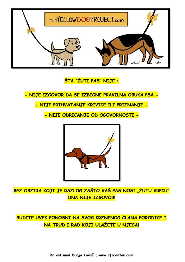 zuti pas       5.The-yellow-dog-poster2