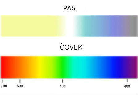 Kako psi vide svet? 1-spektar-boja